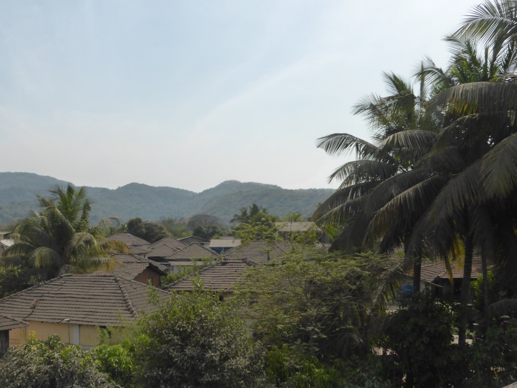 (81) Radeln unter&nbsp;Palmen