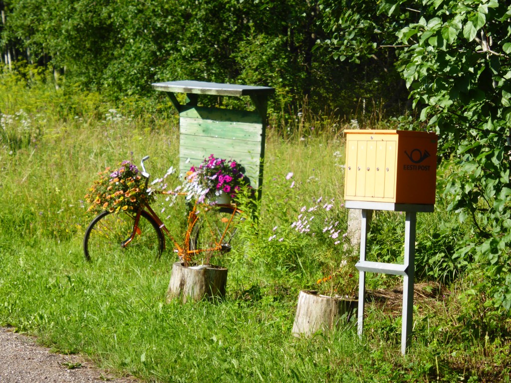 (111) In Estland an der Ostsee